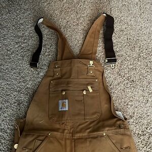 Carhartt insulated bibs